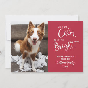 Funny Pet All is Not Calm 3 Photo Holiday Card