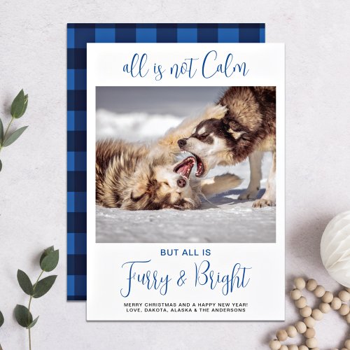 Funny Pet All Is Not Calm Custom Dog Photo  Holiday Card