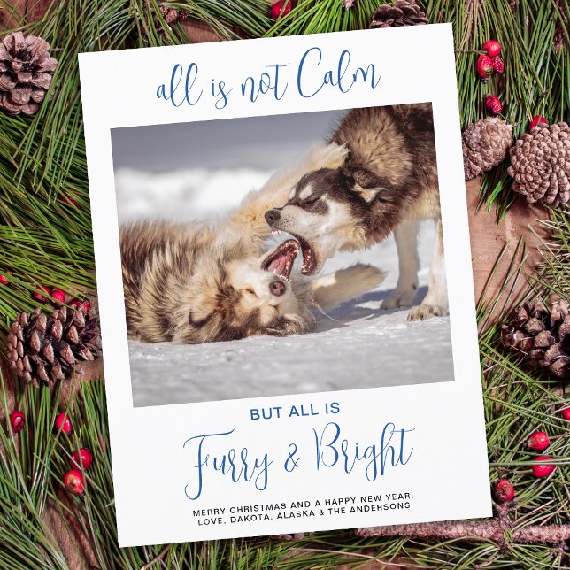 Funny Pet All Is Not Calm Custom Dog Photo Holiday Postcard (Creator Uploaded)
