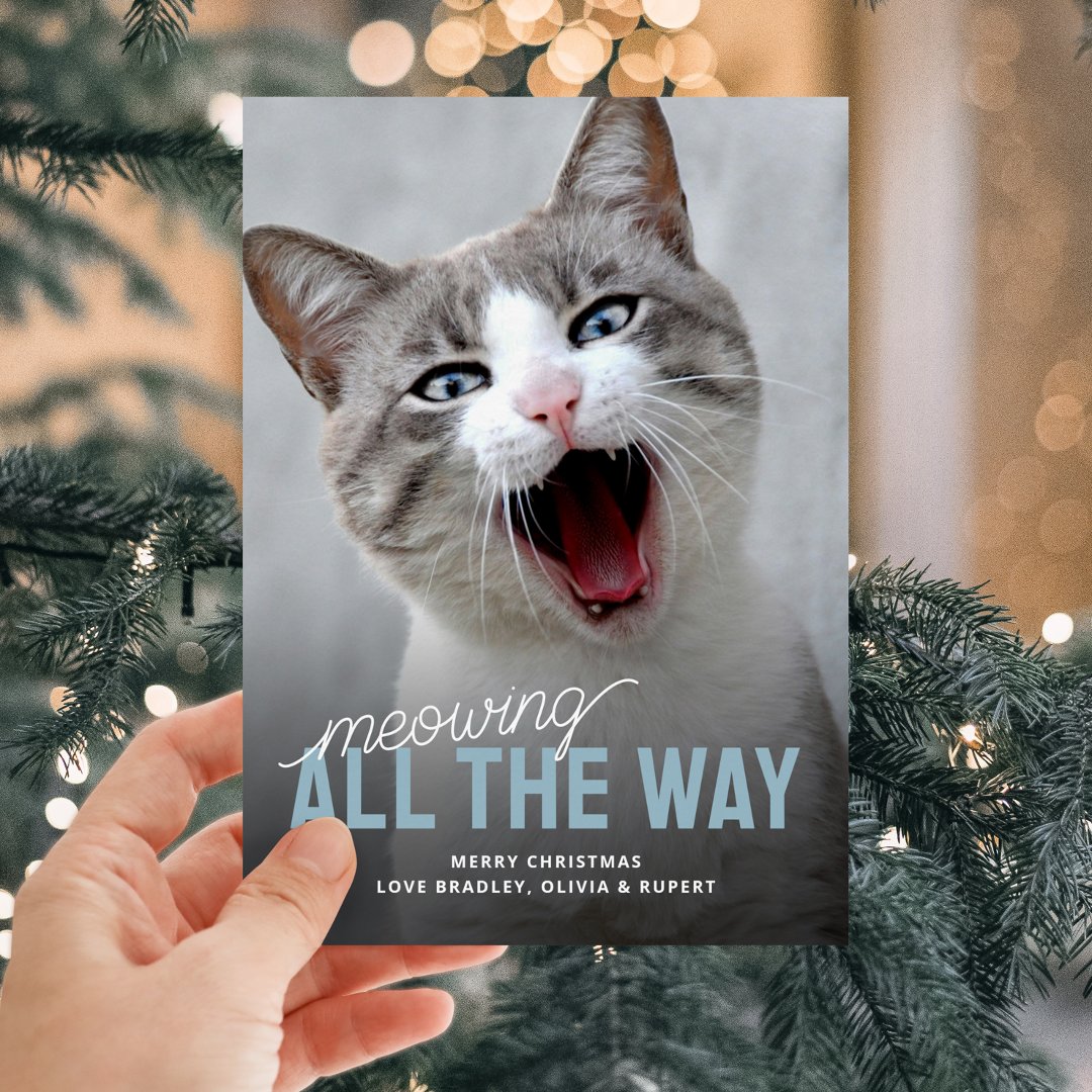 Funny Pet Cat Holiday Christmas Cards (Creator Uploaded)