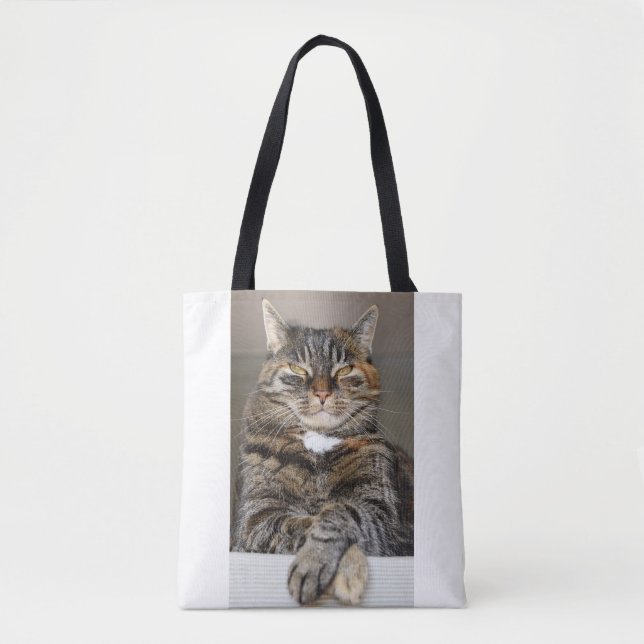 Funny Pet Cat Mean Cynical Humor Not Impressed Tote Bag (Front)