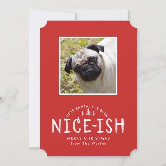 Funny Pet Christmas Card for Dog Owners (Front)