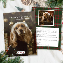 Funny Pet Christmas Card Santa Favorite Photo Card