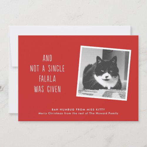 Funny Pet Christmas Cards for Cat People