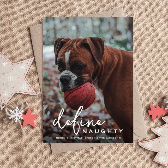 Funny Pet Define Naughty Christmas Holiday Card (Creator Uploaded)