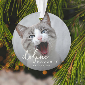 Funny Pet Define Naughty Christmas Ornament