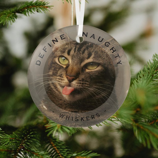 Funny Pet Define Naughty Christmas Photo Glass Glass Ornament (Creator Uploaded)