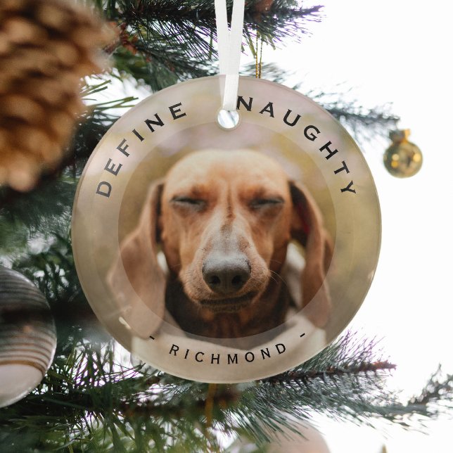 Funny Pet Define Naughty Christmas Photo Glass Ornament (Creator Uploaded)