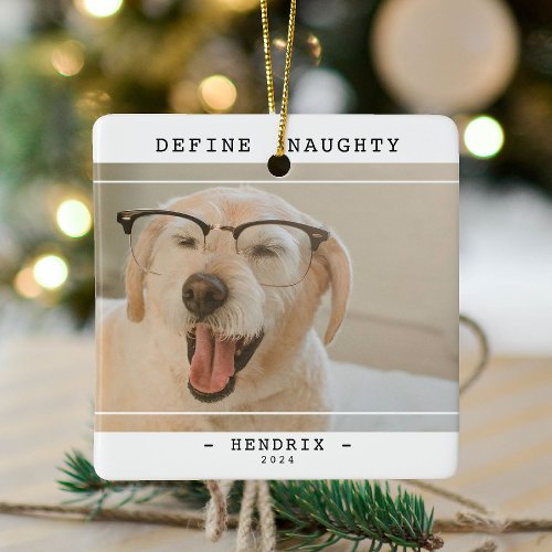 Funny Pet Define Naughty Photo Christmas Ceramic Ornament