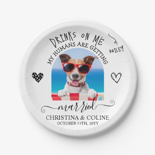 Funny Pet Dog Cat Personalised Wedding Party Paper Plates