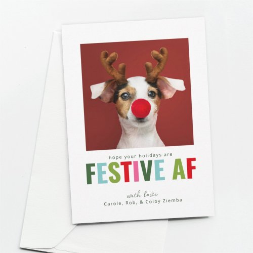 Funny Pet Dog Cat Photo Christmas Card Festive AF