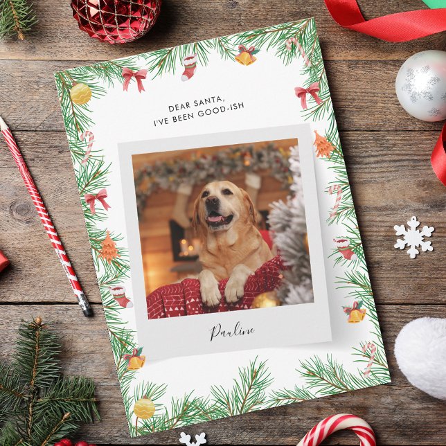 Funny Pet Dog Photo Nice List Custom Christmas Holiday Card (Funny Pet Dog Nice List Custom Christmas Holiday Card)