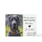 Funny Pet Dog Save The Date Card