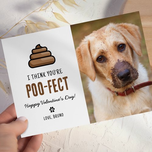 Funny Pet Dog Valentines Day Card