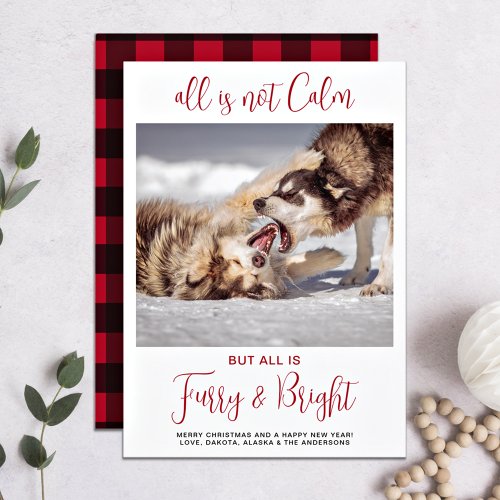 Funny Pet Furry  Bright Plaid Custom Dog Photo  Holiday Card
