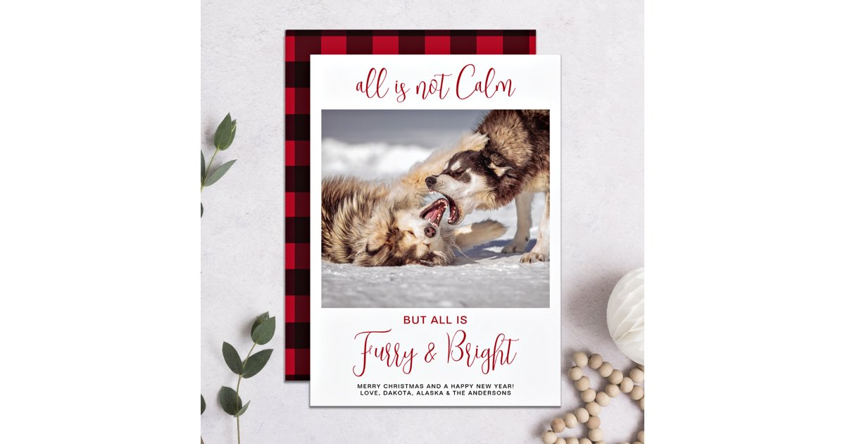 Funny Pet Furry & Bright Plaid Custom Dog Photo Holiday Card | Zazzle