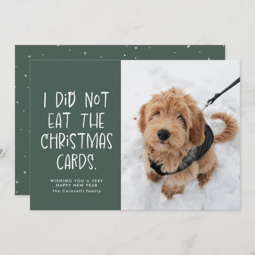 Funny pet green photo New Year Holiday Card