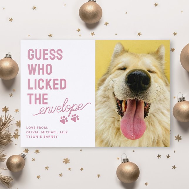 Funny Pet Licked Envelopes Christmas Letterpress Photo Cards (Creator Uploaded)
