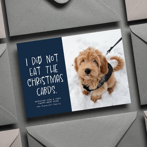 Funny pet one photo navy New Year Holiday Card