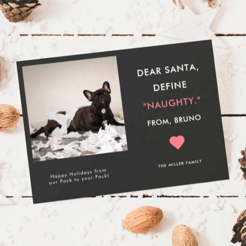 Funny Pet Photo Christmas  Define Naughty Holiday Card