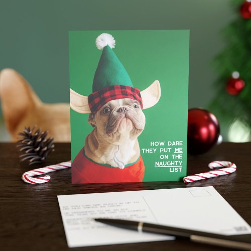 Funny Pet Photo Christmas Holiday Postcard