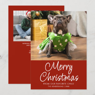 Funny Pet Photo Merry Christmas Family Holiday Card