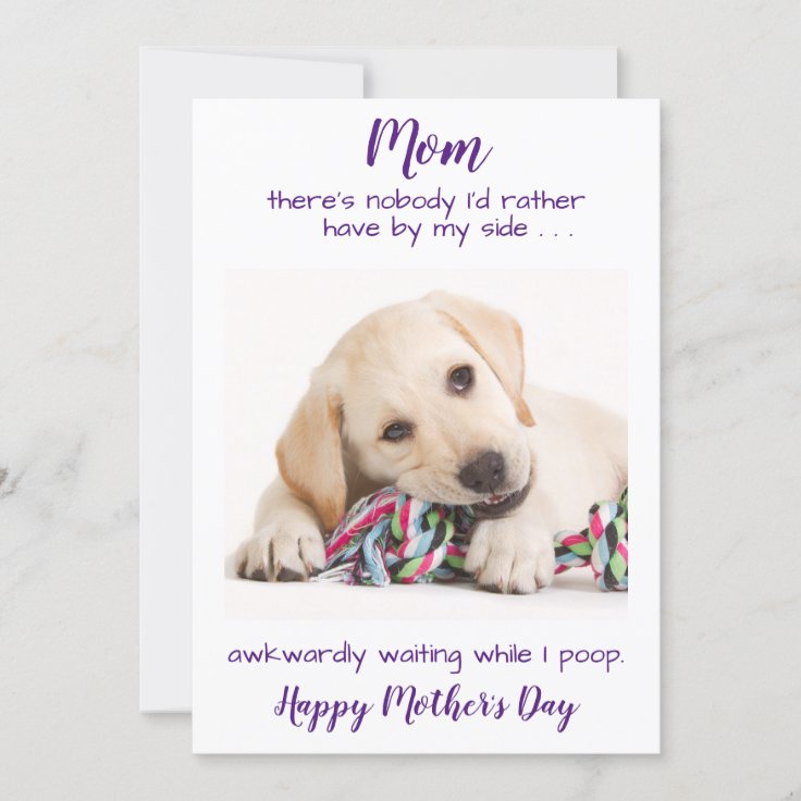 Funny Pet Photo Personalized Dog Mom Mothers Day Holiday Card | Zazzle