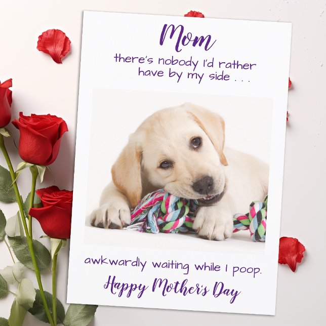 Funny Pet Photo Personalized Dog Mom Mothers Day Holiday Card (Creator Uploaded)