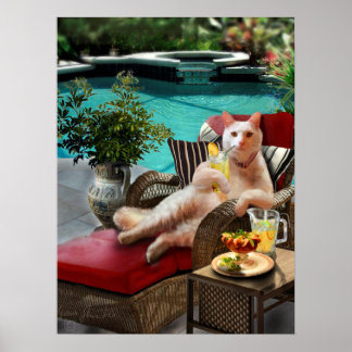 Funny Pet Poster Cat Luxury Vacation