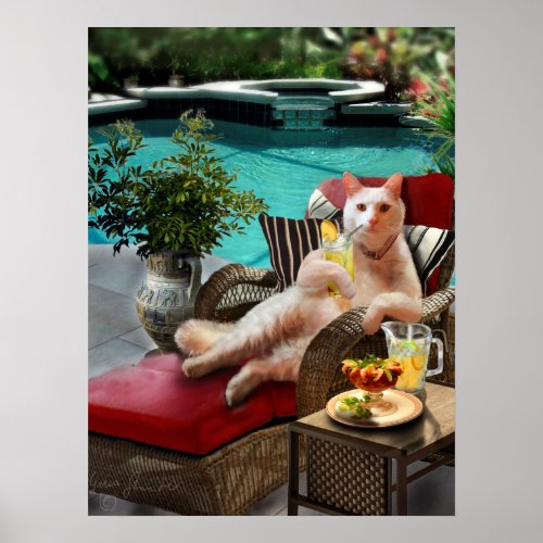 Funny Pet Poster Cat Luxury Vacation