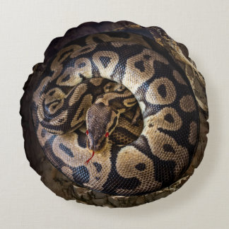 Funny Pet Python Boa Snake Round Pillow
