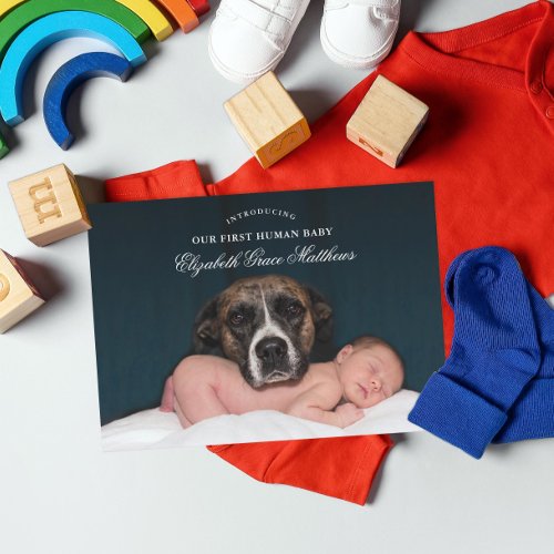 Funny Pet Sibling Birth Announcement