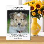 Funny Pet Sitter Custom Dog Photo Thank You Card<br><div class="desc">Thank you cards are a perfect way to show your appreciation and gratitude to the people who care for your beloved pets. Whether you have a pet business, are a pet owner, or simply want to express your appreciation to a veterinarian, dog trainer, dog sitter, or pet sitter, these cards...</div>