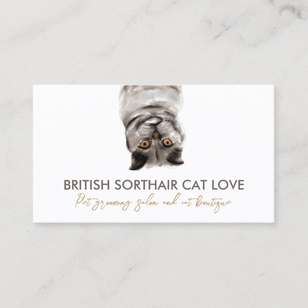 Funny Pet Sitter Gray British Shorthair Cat Business Card