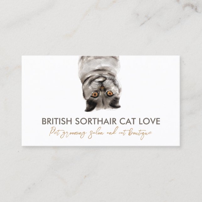 Funny Pet Sitter Gray British Shorthair Cat Business Card (Front)