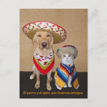 Funny Pet Spanish Postcard & Teaching Aid by myrtieshuman at Zazzle