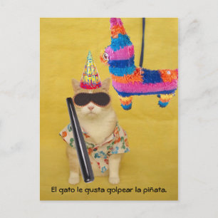 Funny Pet Spanish Postcards for Fun or Teaching