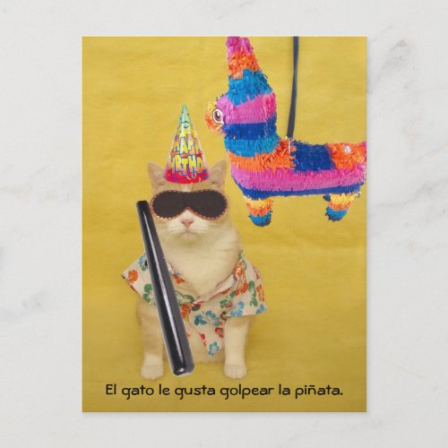 Funny Pet Spanish Postcards for Fun or Teaching
