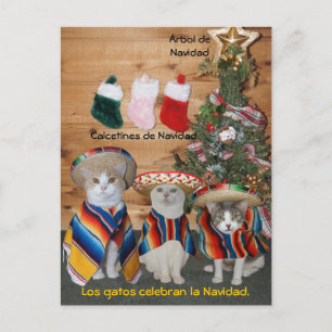 Funny Pet Spanish Postcards for Fun or Teaching