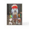 Funny Pets Big Chief Father's Day