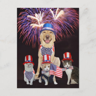 Funny Pets July 4th Invitation