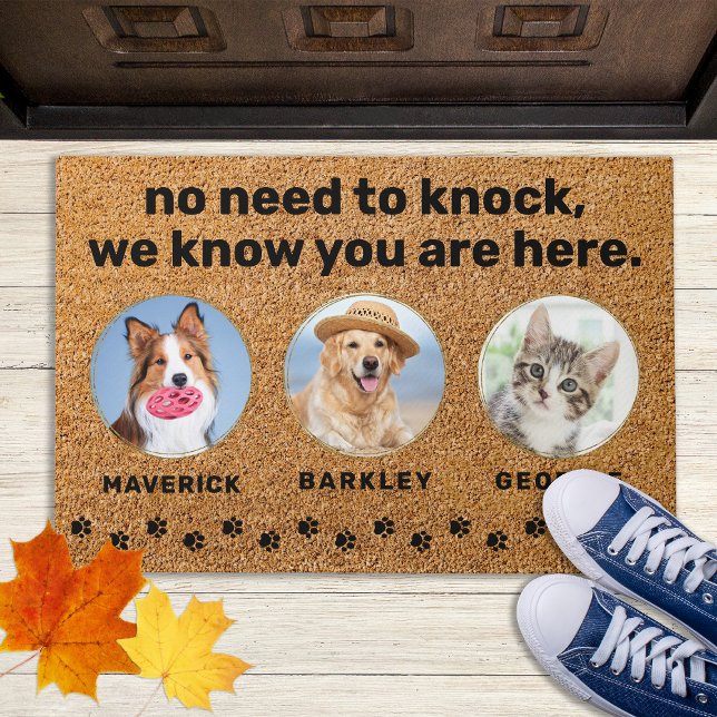 Funny Pets No Need To Knock Custom 3 Photo Dog Cat Doormat (Creator Uploaded)