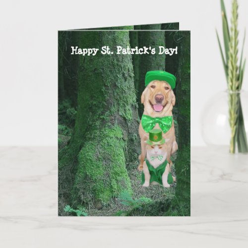 Funny Pets St Patrick Card