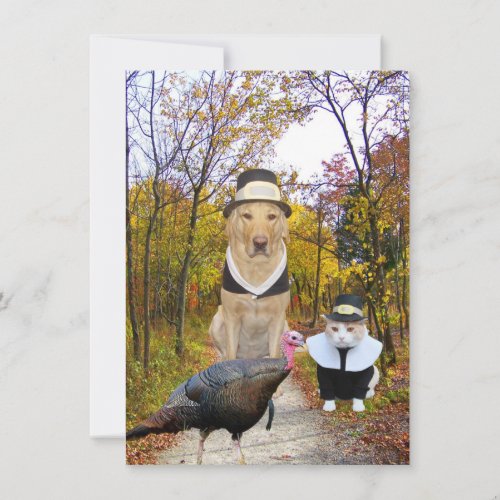 Funny Pets Thanksgiving Invitation