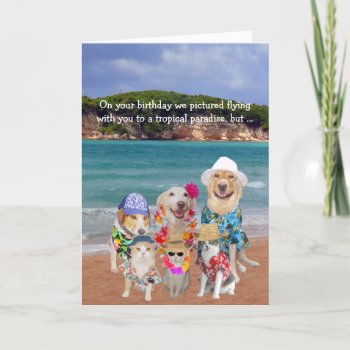 Funny Pets Tropical Paradise Birthday Card by myrtieshuman at Zazzle