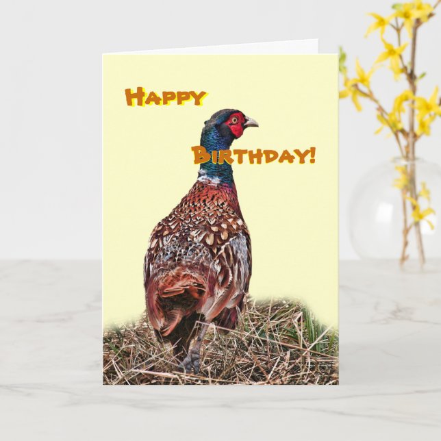 Funny Birthday Card - Birthday Pheasant