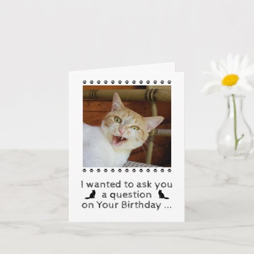 Funny Photo Cat Dog Pet Birthday Card
