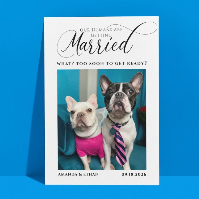 Funny Photo Dog-Themed Wedding Save The Date (Creator Uploaded)