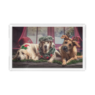 Funny Photo Dogs in Christmas Antlers and Headwear Acrylic Tray