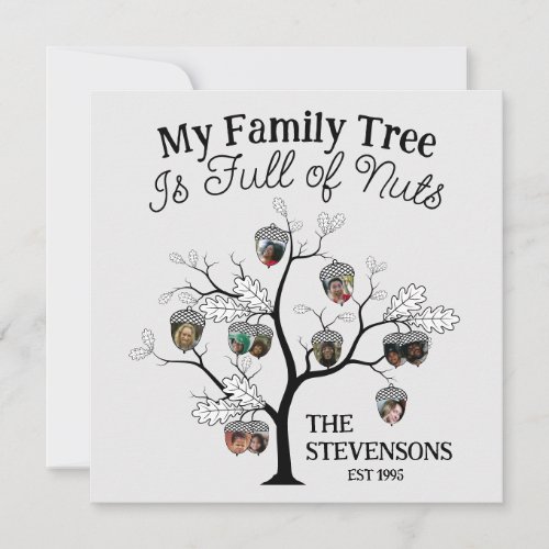 Funny Photo Family Tree is Full of Nuts Christmas  Holiday Card
